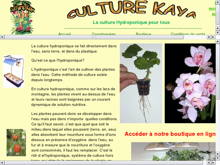 www.culture-kaya.com