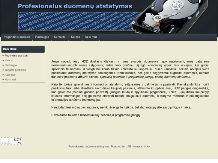 www.duomenu-atstatymas.lt