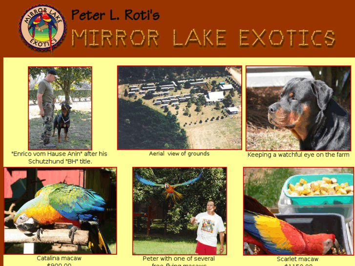 www.mirrorlakeexotics.com