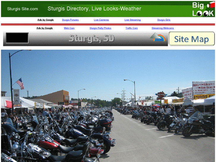 www.sturgissite.com