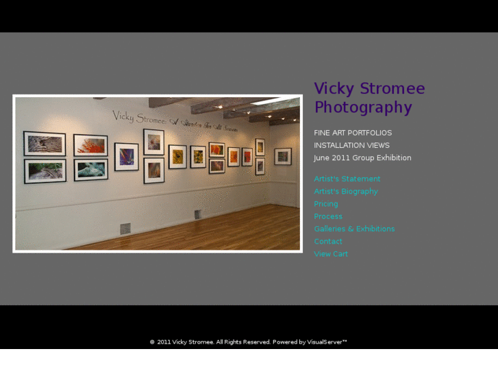 www.vickystromeephotography.com