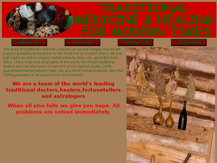 www.africantraditionalhealers.com