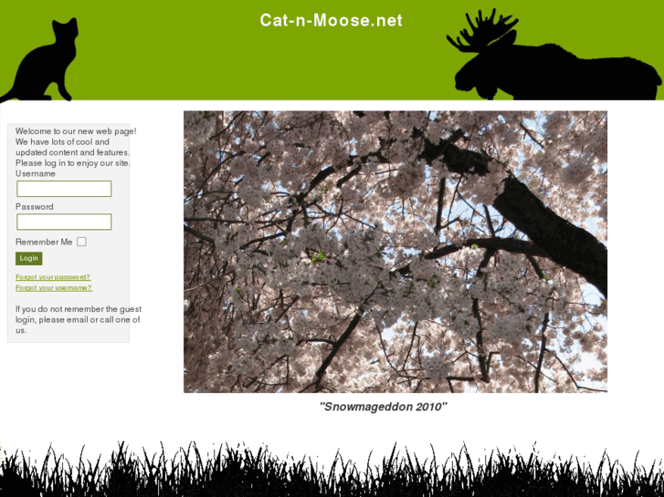 www.catnmoose.net