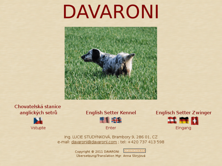 www.davaroni.com