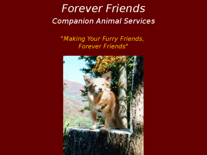 www.foreverfriendswebsite.com