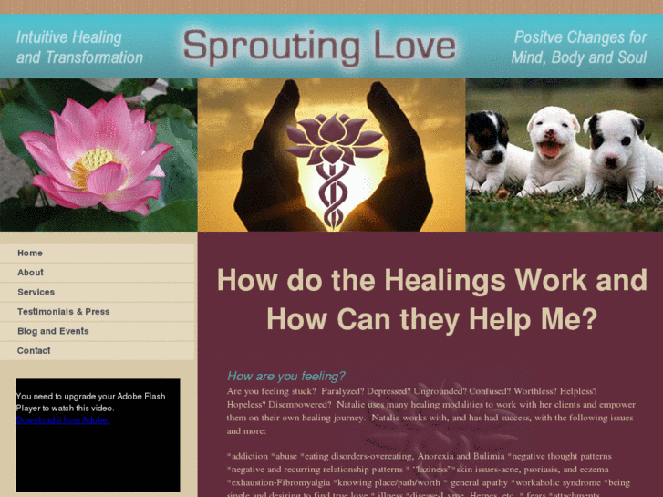 www.sproutinglove.com