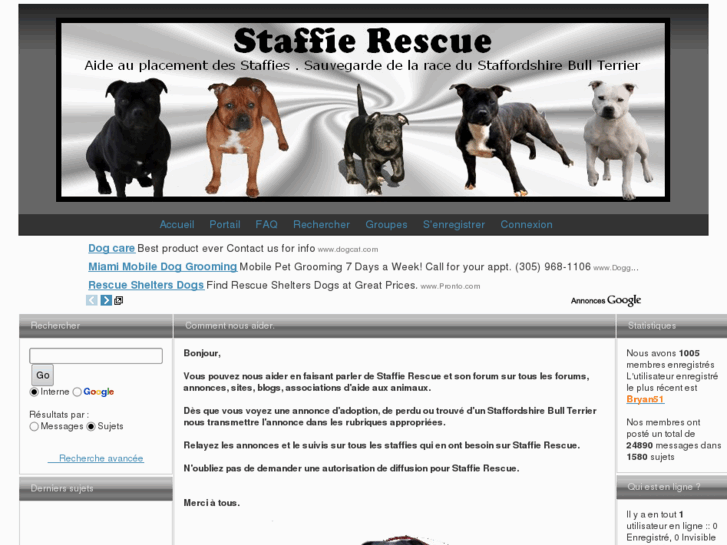 www.staffie-rescue.net