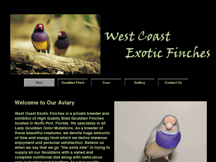 www.westcoastexoticfinches.com