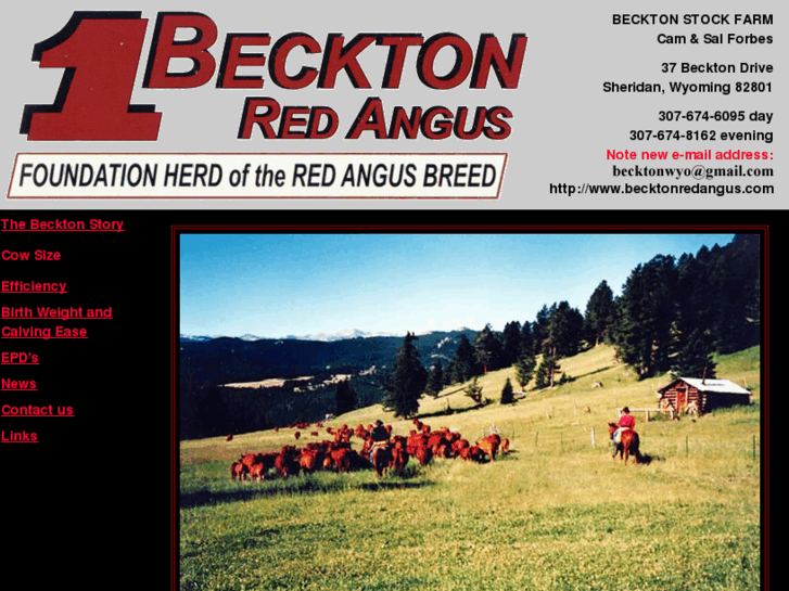 www.becktonredangus.com