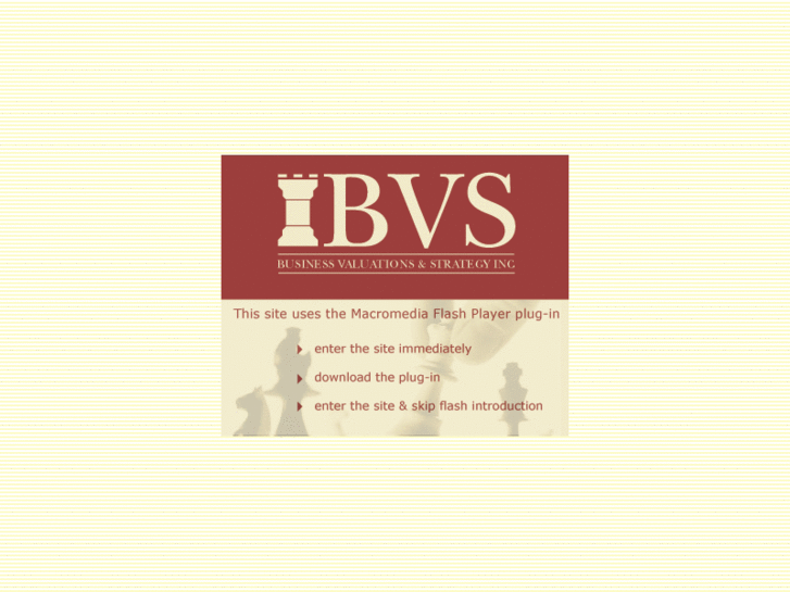 www.bvstrategy.com