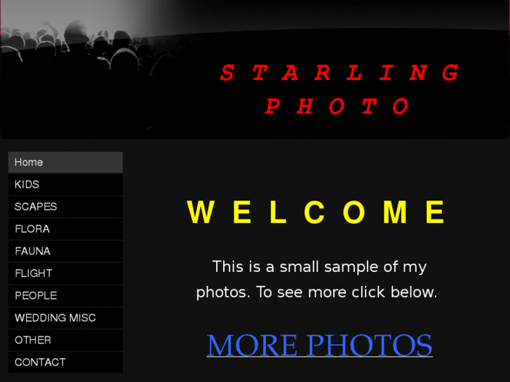 www.davidstarling.com