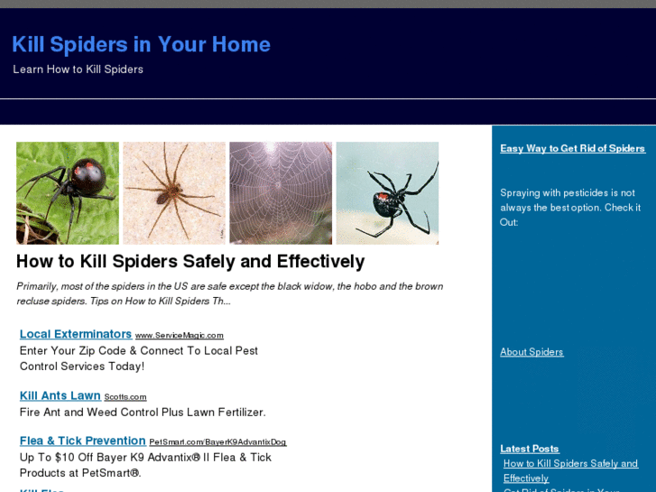 www.killspiders.org