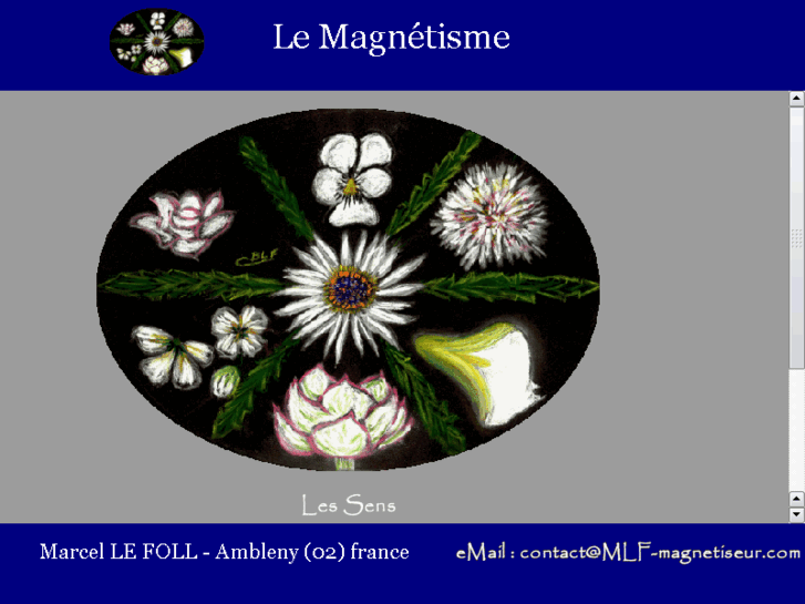 www.mlf-magnetiseur.com