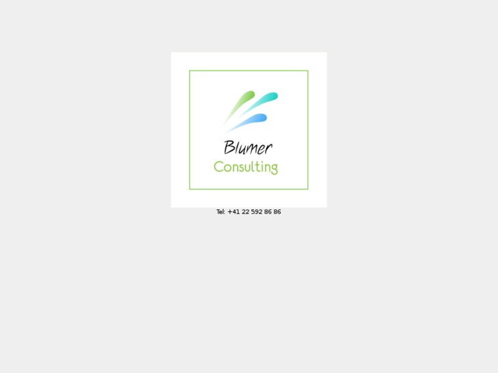 www.blumerconsulting.com