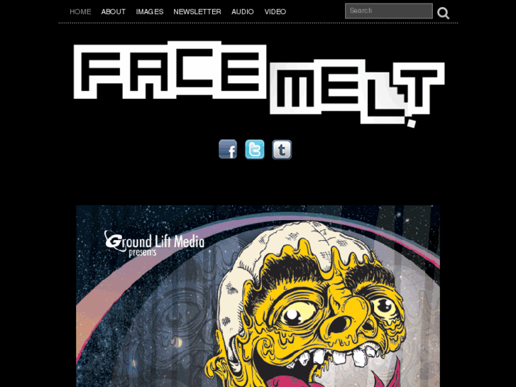 www.facemeltchicago.com