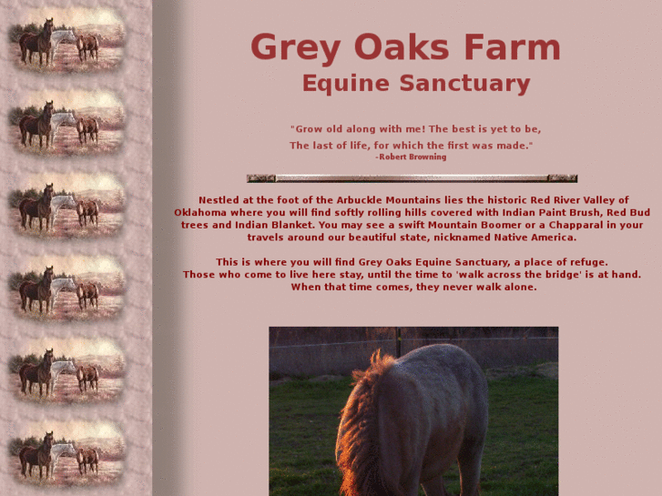 www.greyoaksfarm.com