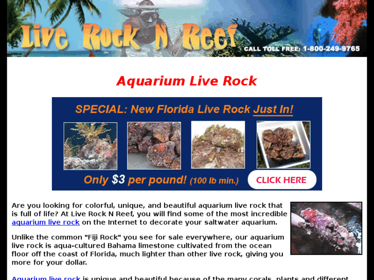 www.live-rocks-aquarium.com