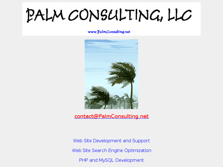 www.palmconsulting.net