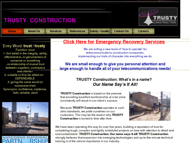 www.trustyconstruction.com