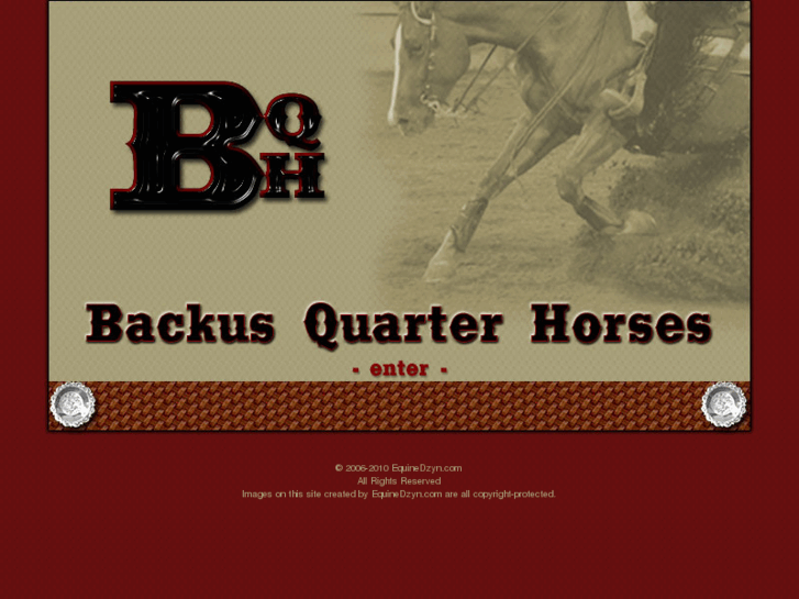 www.backusquarterhorses.com