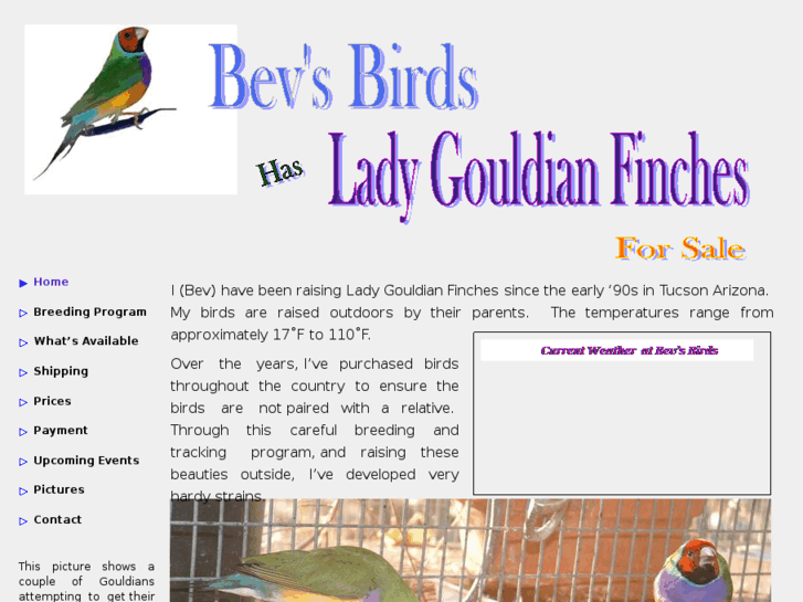 www.bevsbirds.com