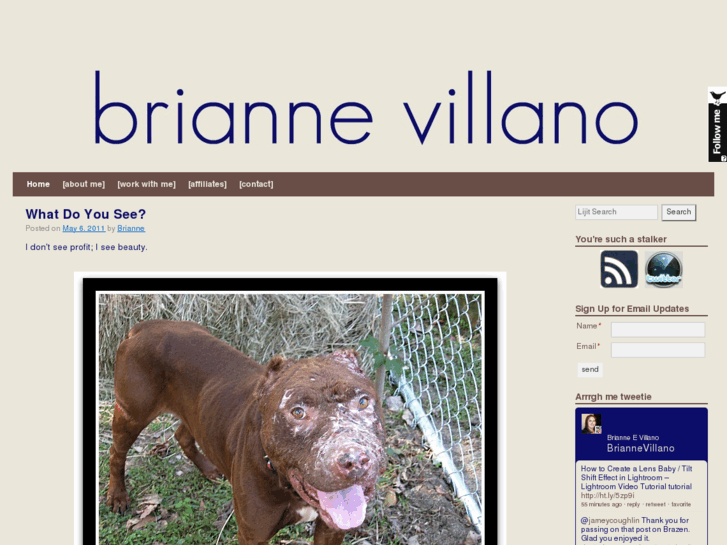 www.briannevillano.com