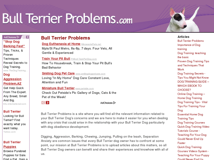 www.bullterrierproblems.com