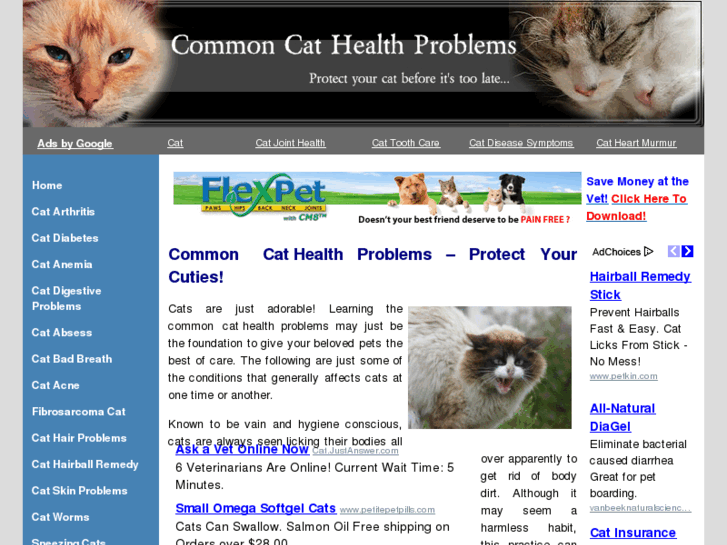 www.cathealthproblems.org