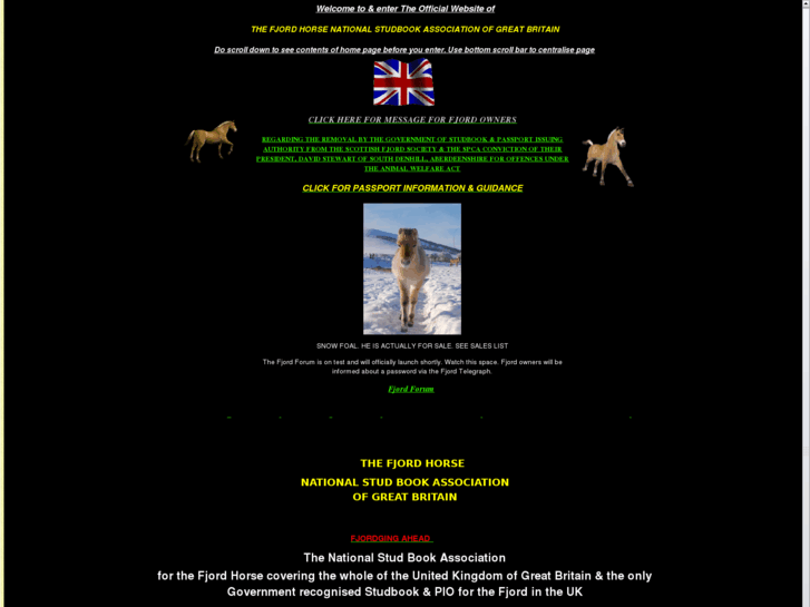 www.fjord-horse.com