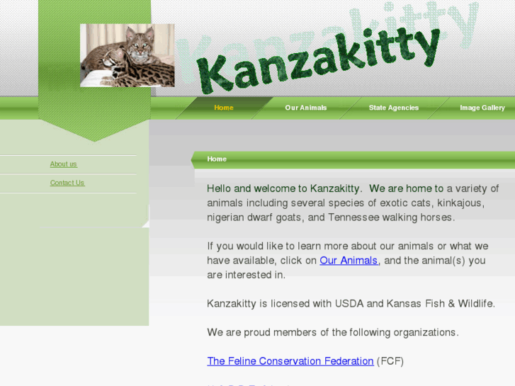 www.kanzakitty.com