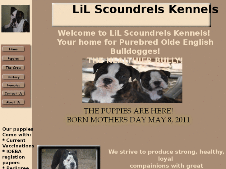 www.lilscoundrels.com