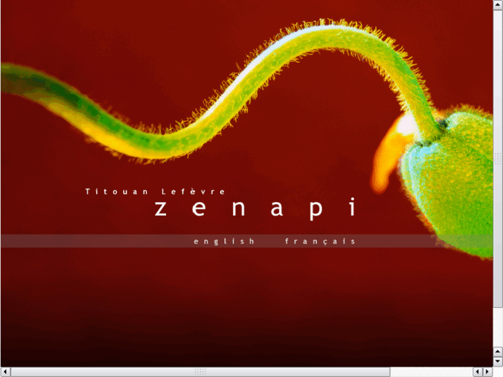 www.zenapi.com