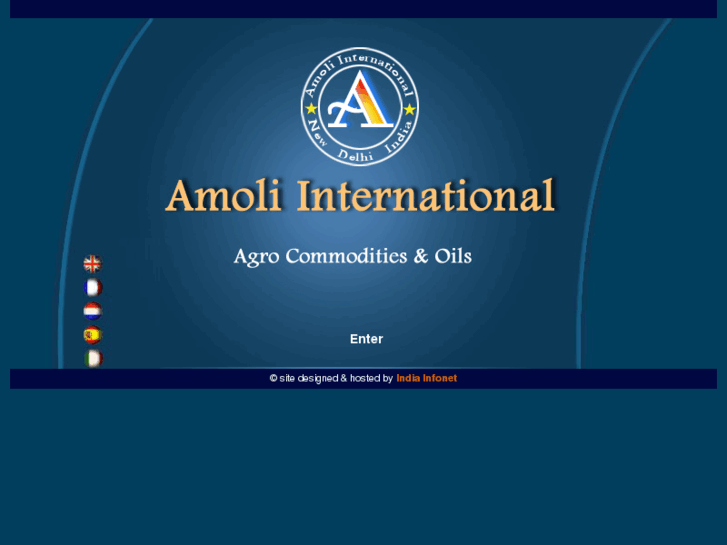 www.amoliinternational.com