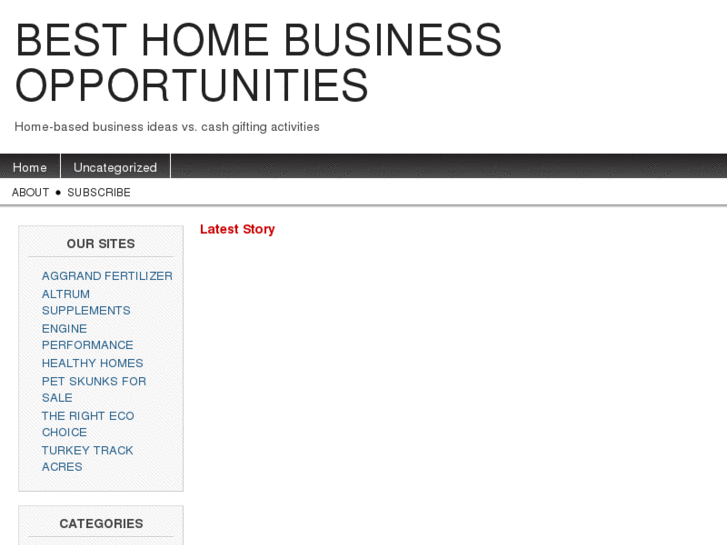 www.best-home-business-opportunities.com