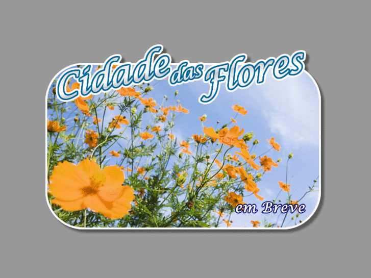 www.cidadedasflores.com