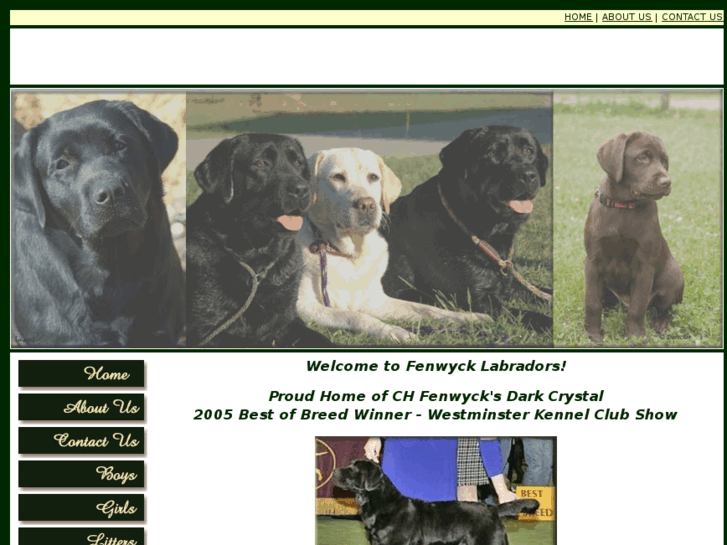 www.fenwycklabradors.com