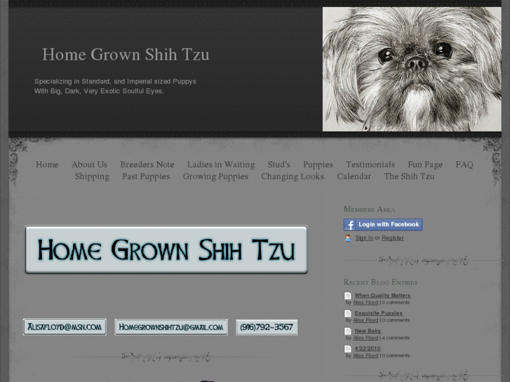 www.homegrownshihtzu.com