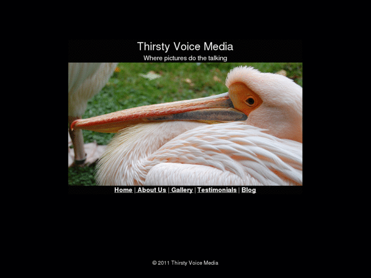 www.thirstyvoicemedia.com