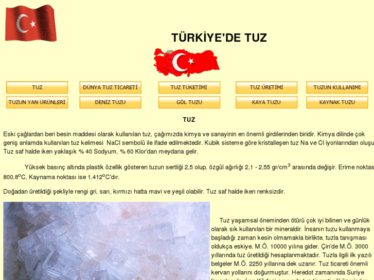 www.turkiyetuz.com