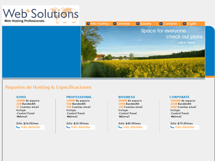 www.websolutionsit.com