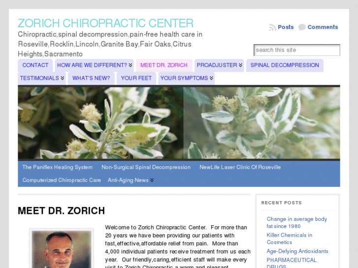 www.zorichchiropractic.com