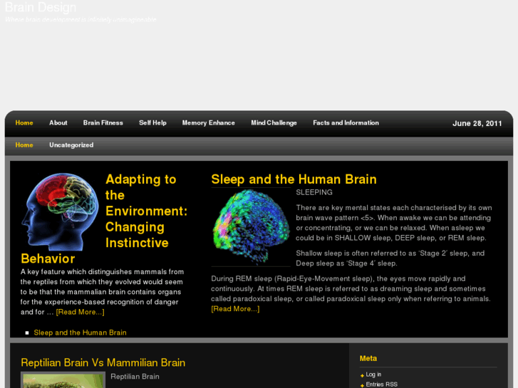 www.brain-design.com