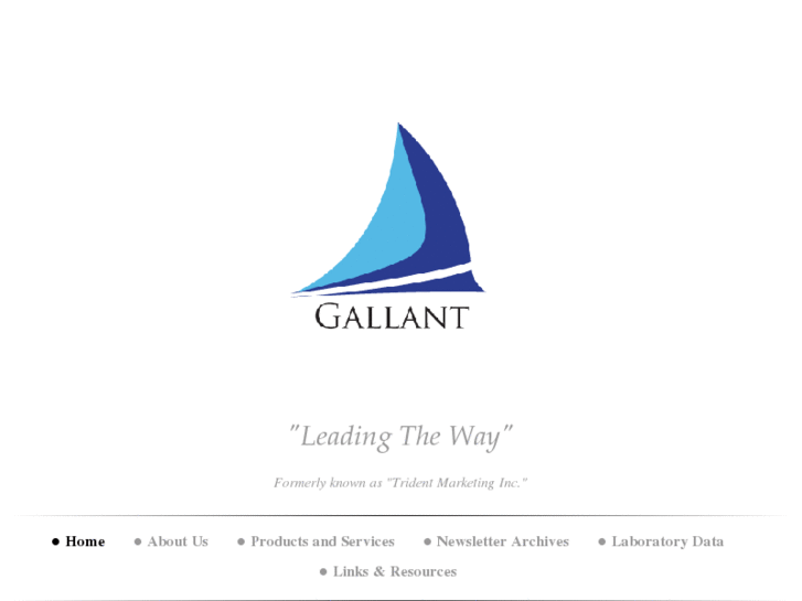 www.gallantinc.net