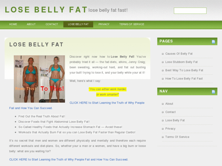 www.losebellyfatfast101.com