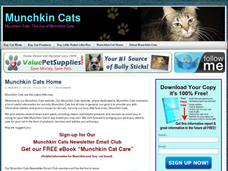 www.munchkincats.info