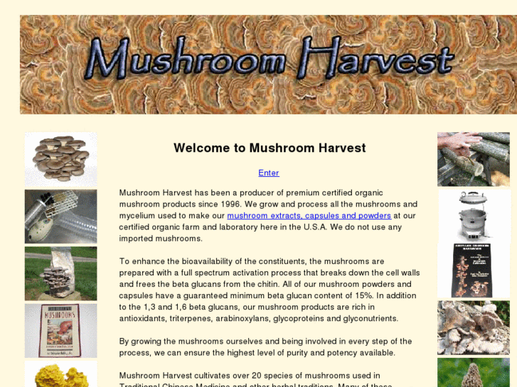 www.mushroomharvest.com