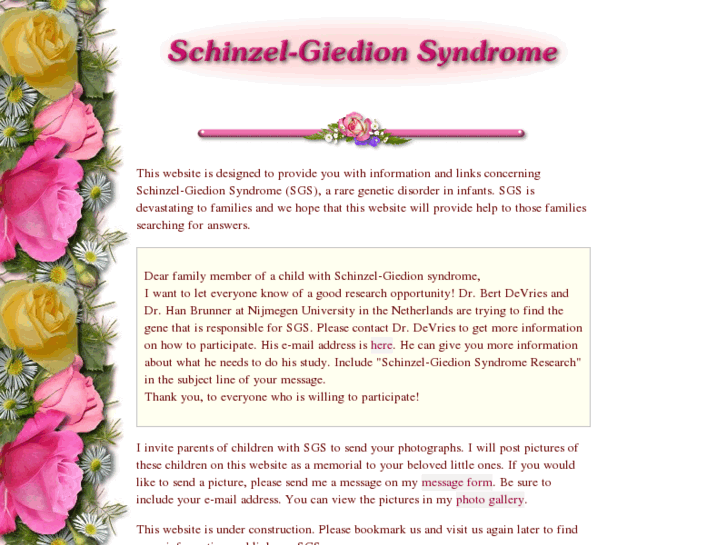 www.schinzel-giedion.org