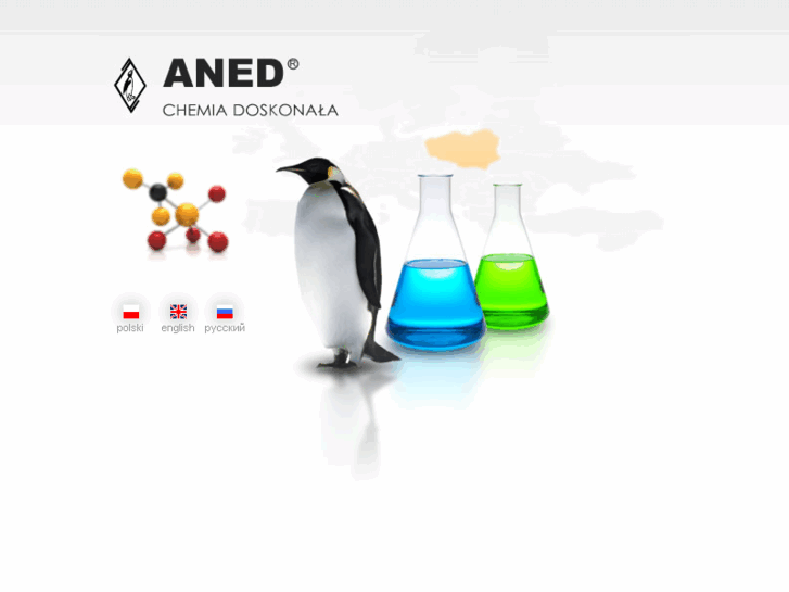 www.aned.biz