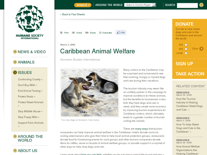 www.caribbeananimaltourismsupport.org