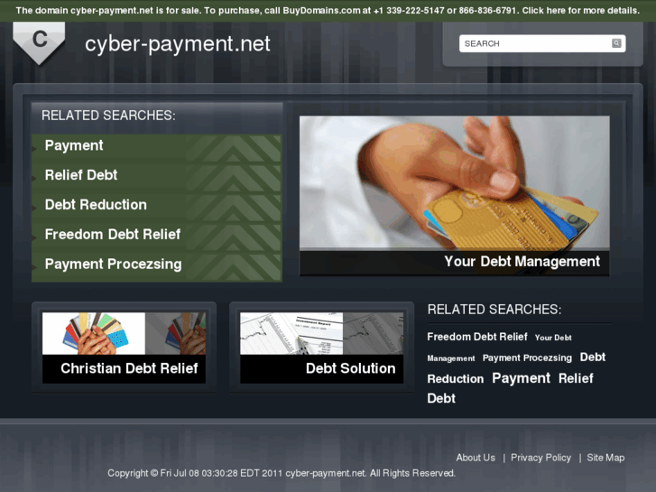 www.cyber-payment.net